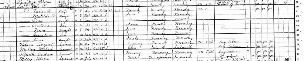 August Nilsen census 1900.jpg