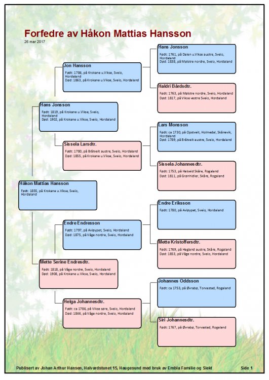 Håkon Mathias Hansson.jpg