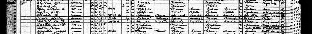 Harry Tveit US census 1920.jpg
