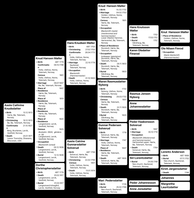 Family Tree - Aaste Cathrine Knudsdatter - Vidar.png