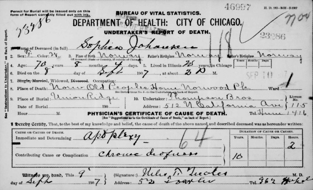 Sophia Johnnson death.jpg