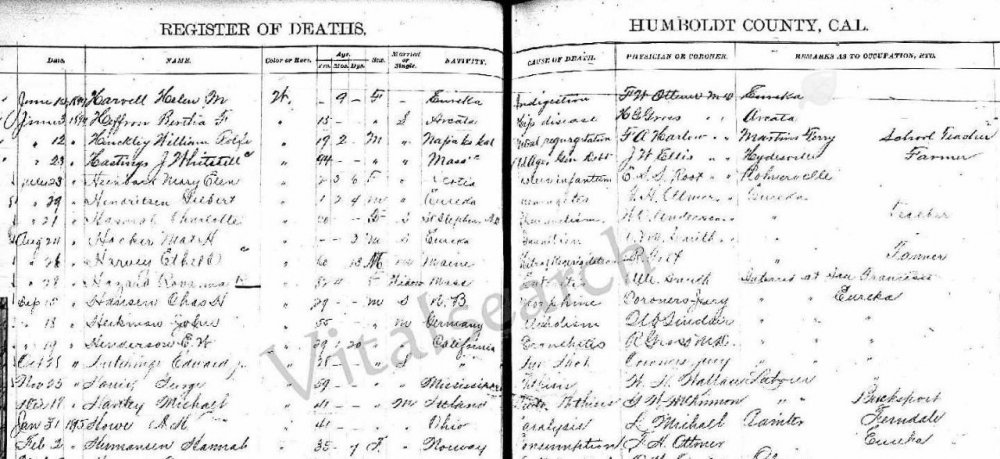 Hannah Hermansen dødsmeld..jpg