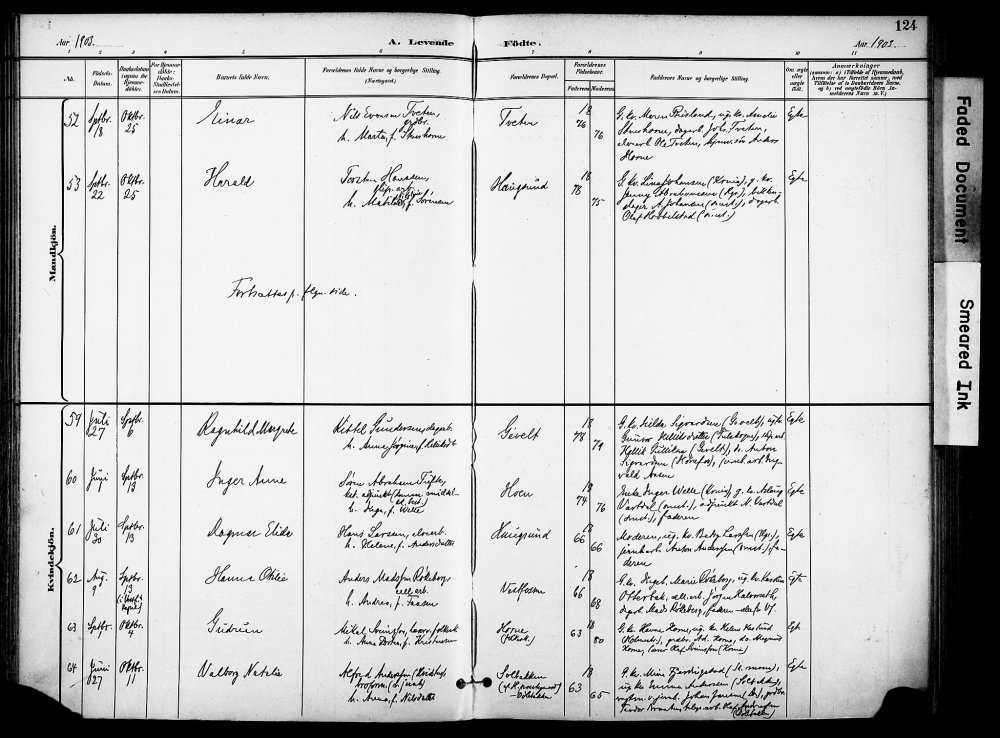 valborg nathalie fødsel.jpg