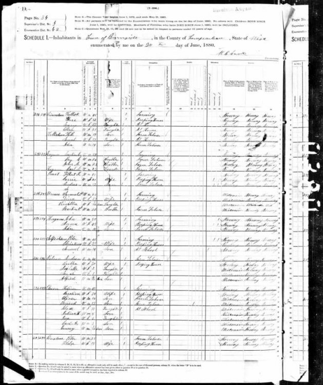Peter Finstuen census 1880.jpg