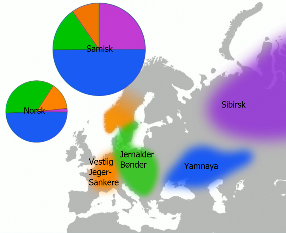 Skjermbilde (71).png