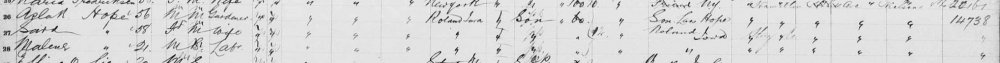 Innvandring 1900.jpg