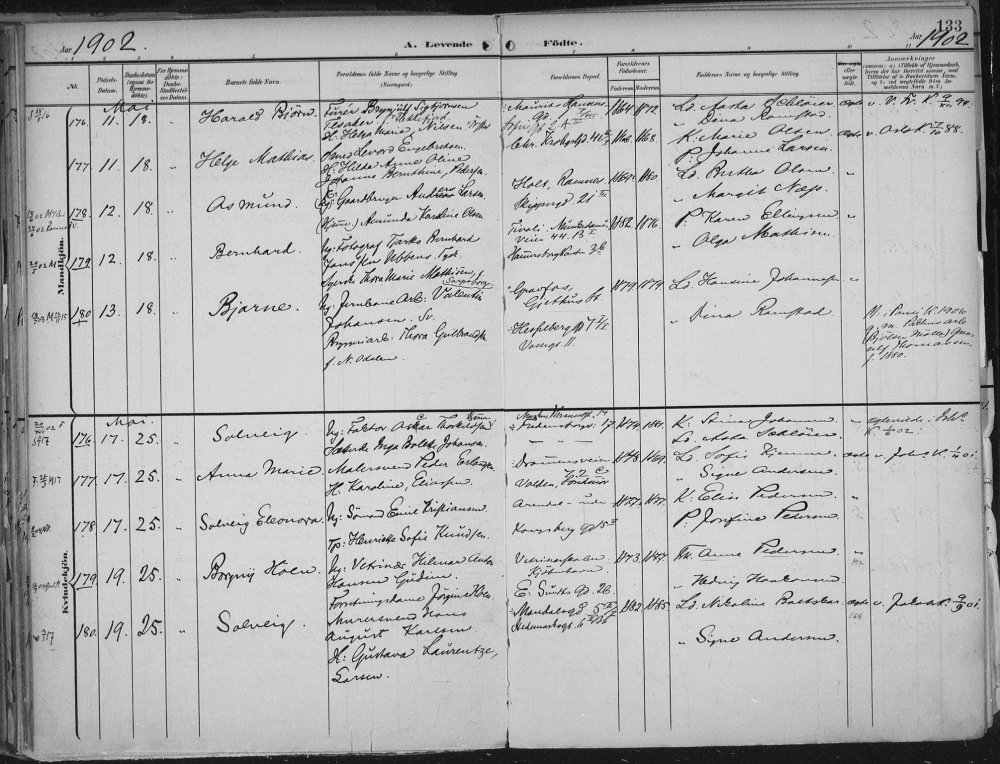 c48fecb7-caba-4822-9c44-be873ca9597c (1).jpeg