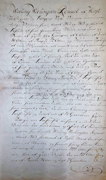 viking vikinson (2)6.jpg