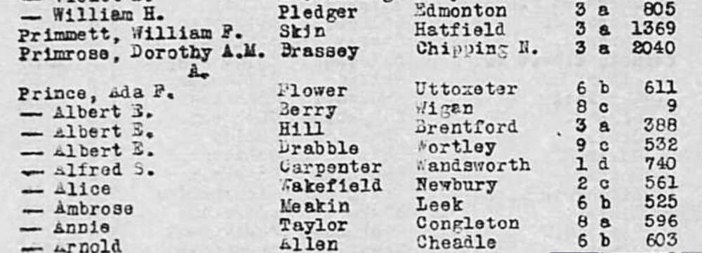 Albert E Prince og Berry vielseregister 1920 .jpg