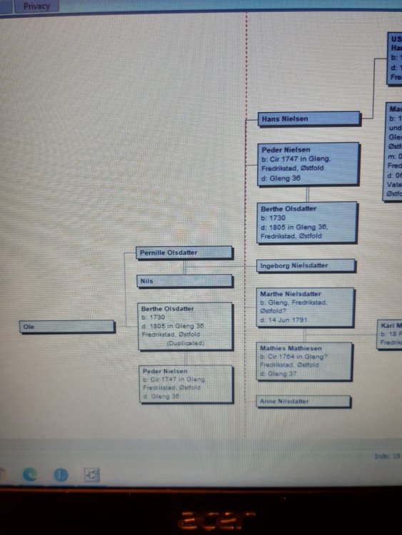 Berthe Olsdatter i Gleng.jpg