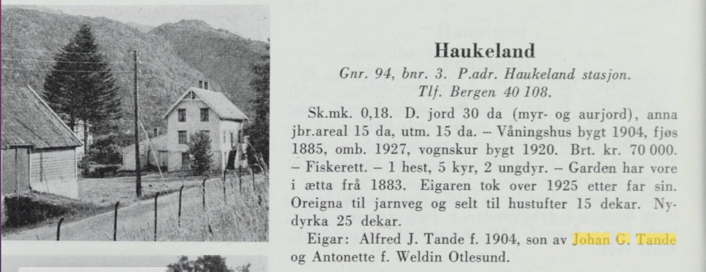Haukeland .jpg
