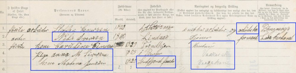 (1885 Census) Steffen Einarsen.jpeg