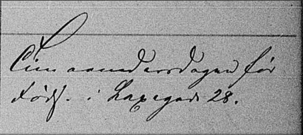 før fødsel - 1.png