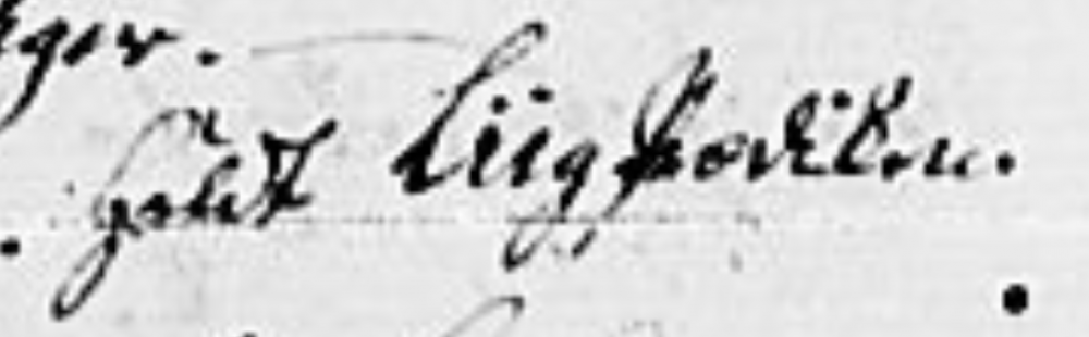 Johannes Irgens begravelse.png