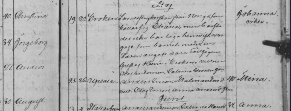 Johanna Gustafsdatter.jpg