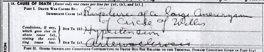 dødsårsak Aslaug Leoni.PNG