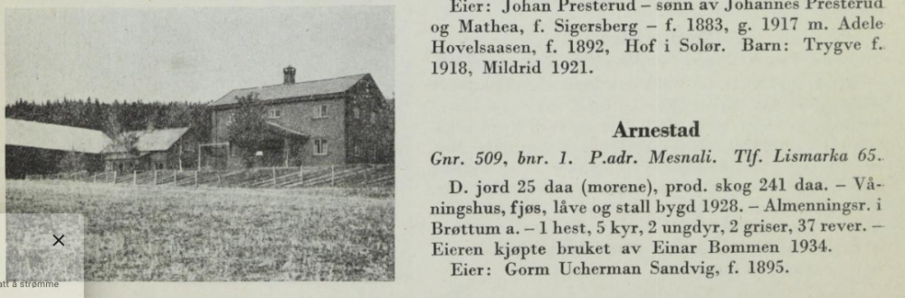 Screenshot 2023-08-17 at 22-56-01 Norske gardsbruk Hedmark fylke. 2.png