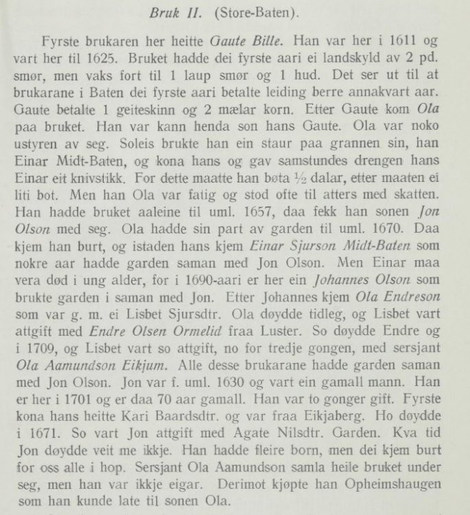 Hafslo _ bygd og ætter - Google Chrome 2023-10-19 12.39.33.jpg