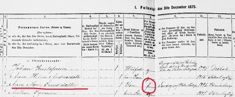 ANNE MARIE SVENDSDATTER FRASKILT 1875 .jpg