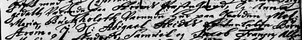 Anna Maria Buchholsth.png