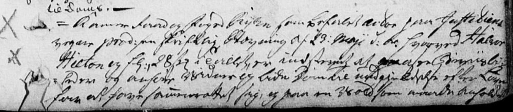 Halvor Hiltom dom.JPG