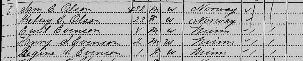 1885 census.JPG