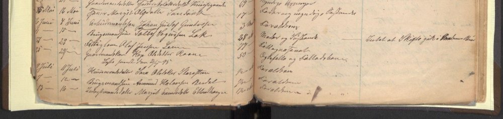 1895 - Lensmannen i Vinje - tilpassa.jpg